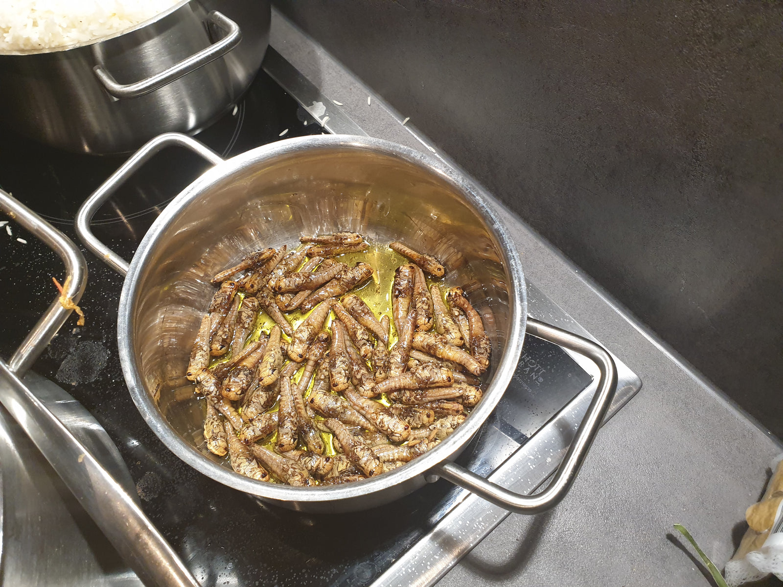 Essbare Insekten zubereiten