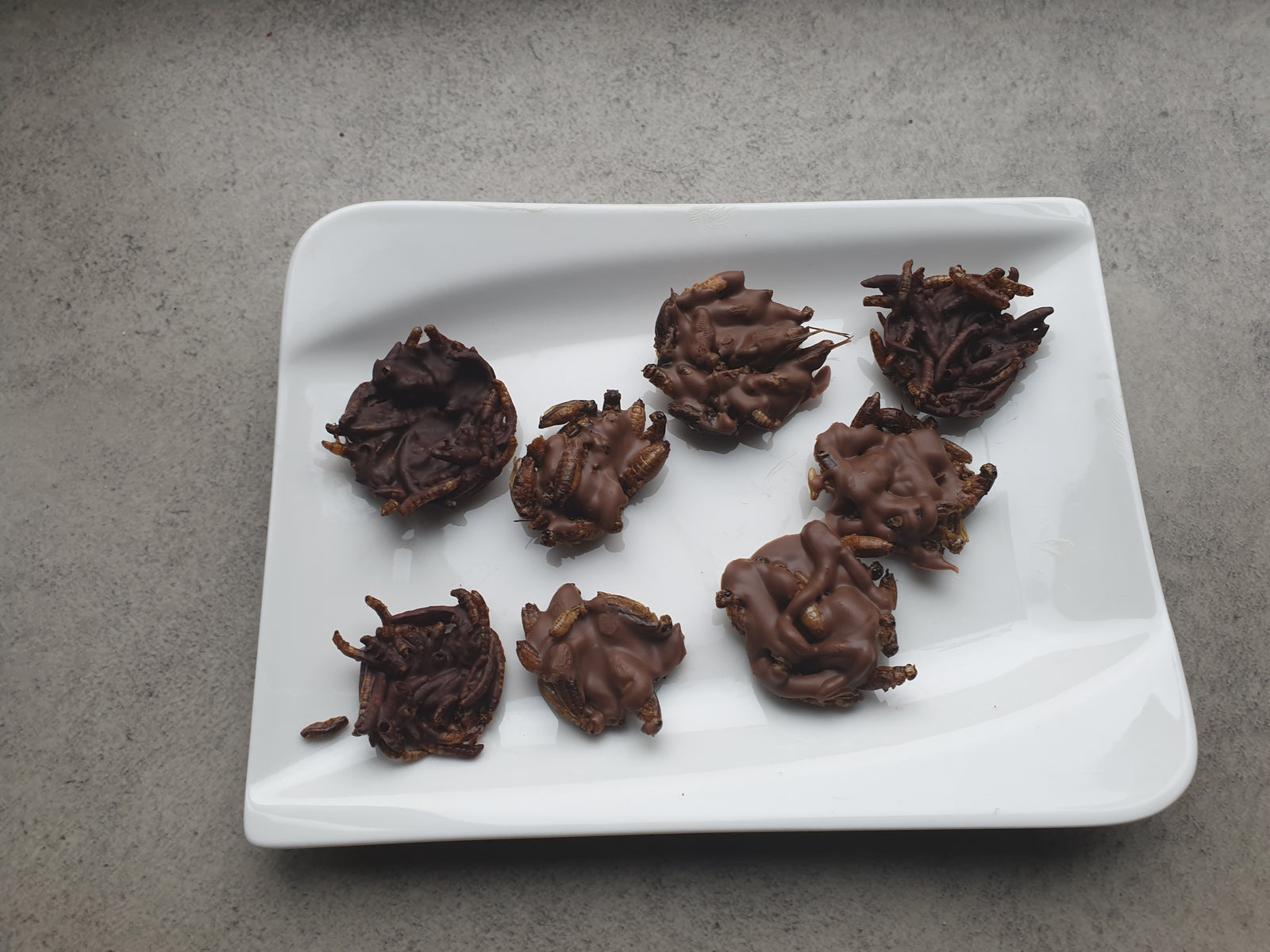 Leckere Insekten-Schokoladenpralinen
