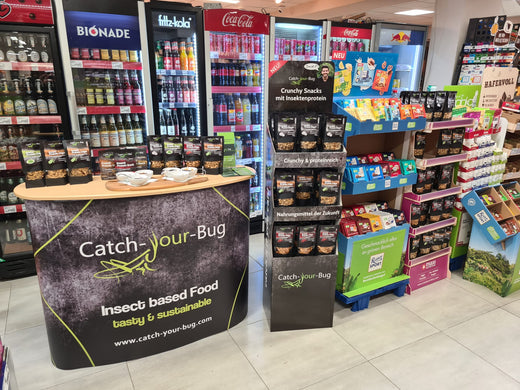Essbare Insekten im Supermarkt – Nachhaltige Snacks jetzt vor Ort kaufen