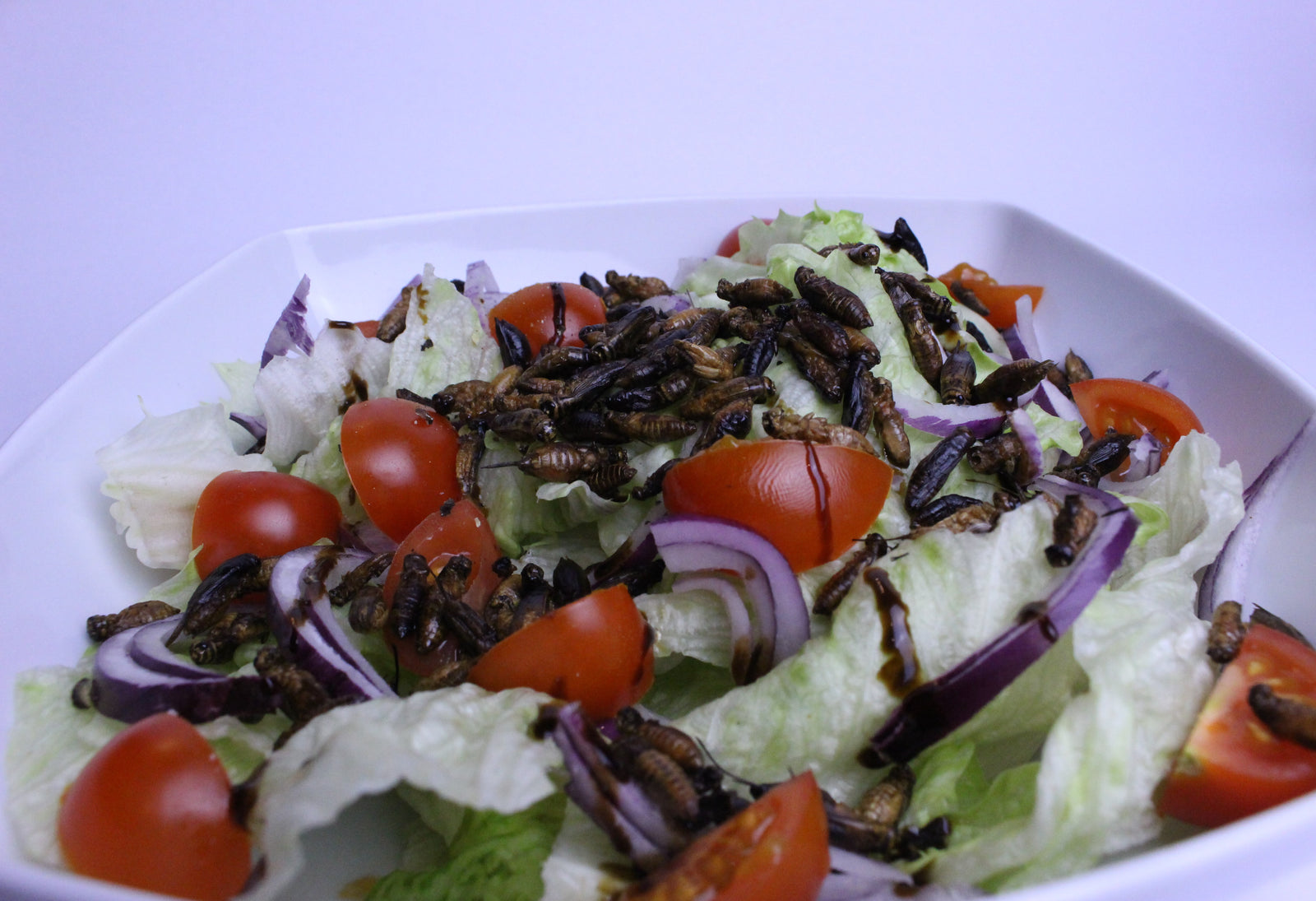 Salat mit Heimchen-Topping