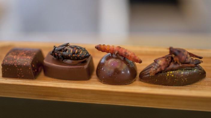 Insekten sind Teil der Esskultur | Süddeutsche Zeitung