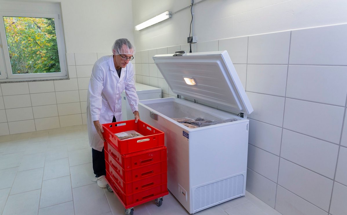 "Das Fleisch von morgen" | swp-Wochenblatt