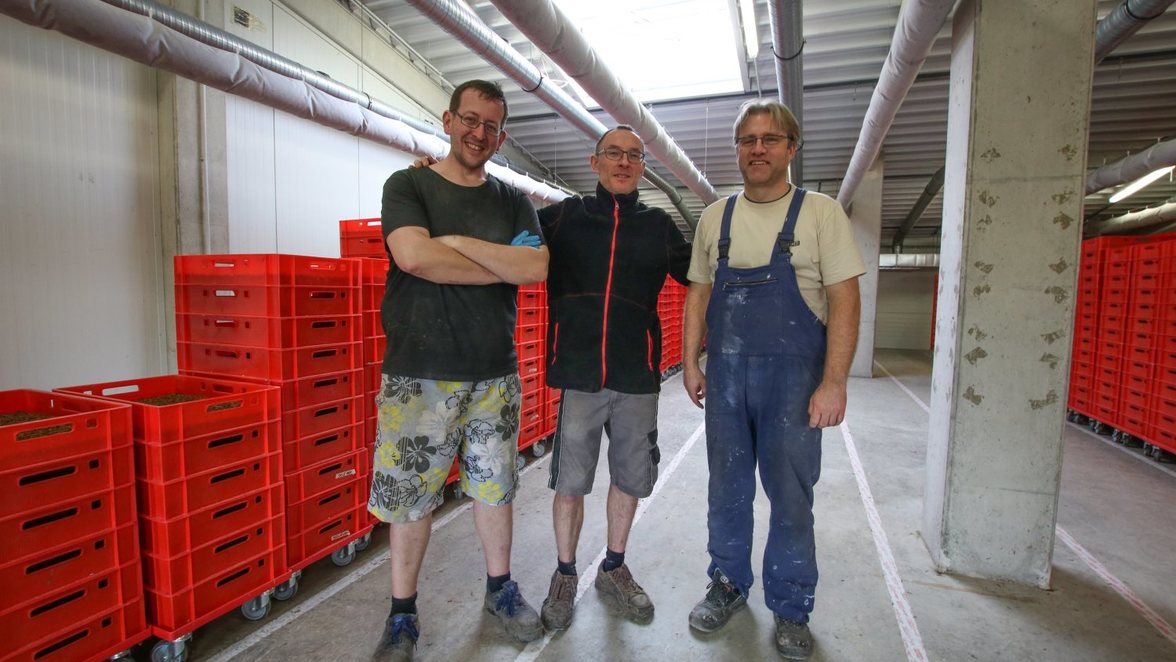 "Six feet to eat" züchtet essbare Mehlwürmer ohne Gluten | swp