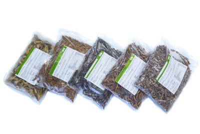 gefrorene_Insekten_zum_essen_von_catch-your-bug