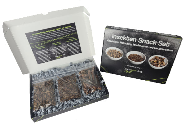 Probierset_mit_essbare_Insekten_Catch-Your-Bug