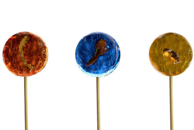 Insektenlutscher mit essbaren Insekten von Catch-Your-Bug