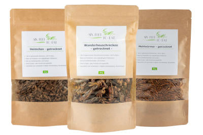 Insekten_zum_essen_von_catch-your-bug