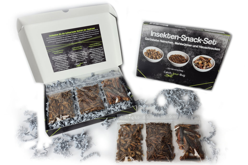 Insektensnack-Set mit Insekten zum Essen von Catch-Your-Bug