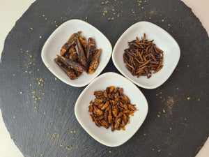 Insect Protein Snacks 5er-Pack, herzhafte und süße Insektensnacks