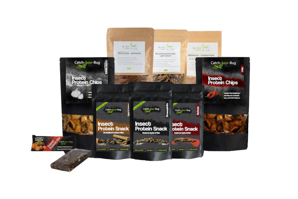 Insekten zum Essen von Catch-Your-Bug