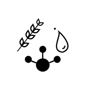 Insekten besitzen bis zu 70 % hochwertige Proteine und darüber hinaus Vitamine, Ballaststoffe, Omega-3 und Antioxidantien. Sie ähneln vom Geschmack her dem von gerösteten Nüssen.