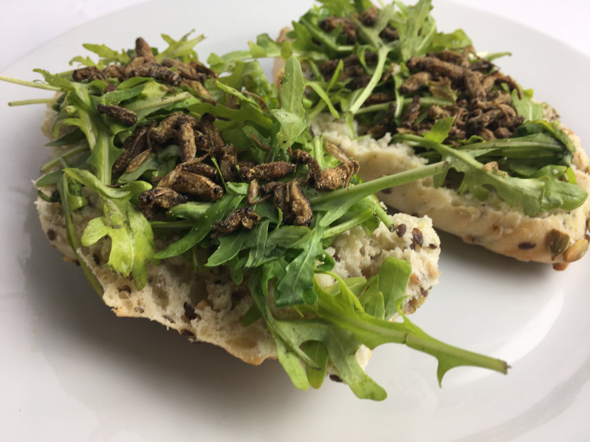 Gewürzte Insekten auf einem Gericht