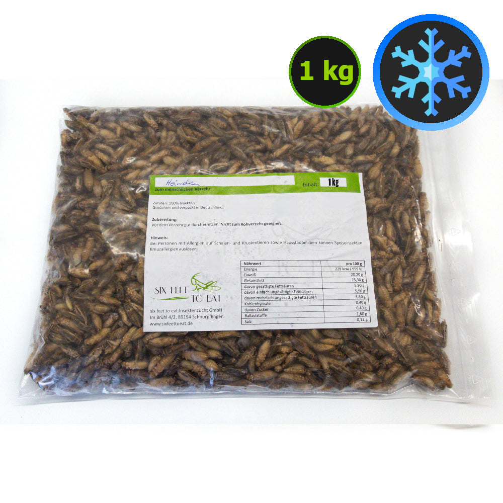 Insekten gefroren im Großgebinde