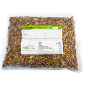 Mehlwürmer (geröstet), 500 g