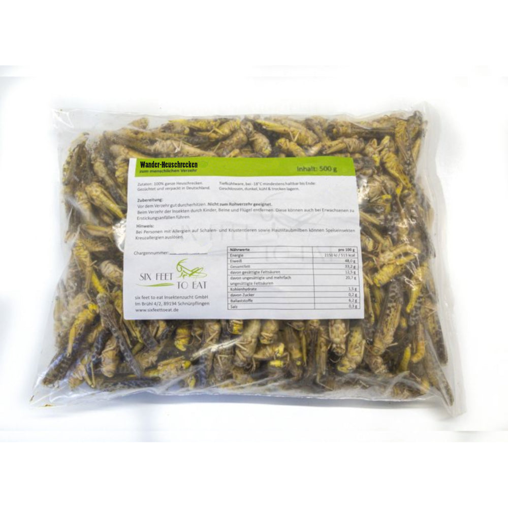 Heuschrecken zum Essen von Catch-Your-Bug