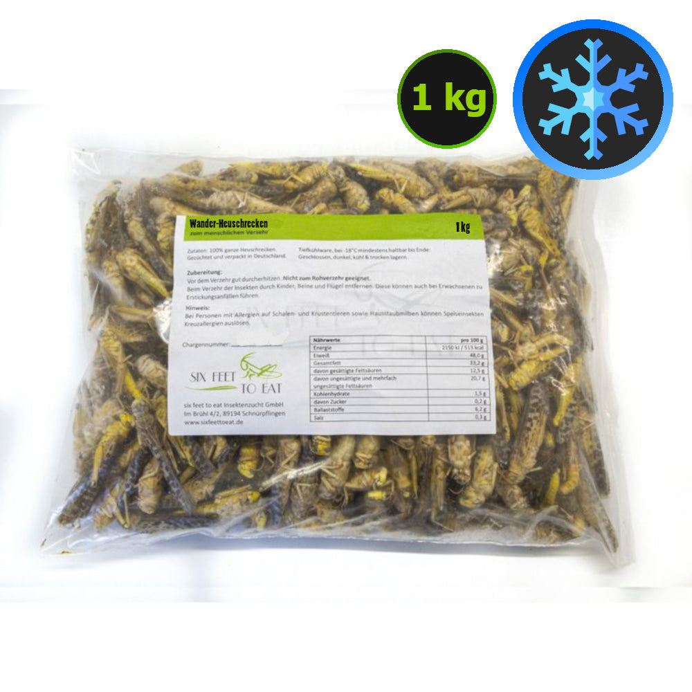 Gefrorene essbare Heuschrecken