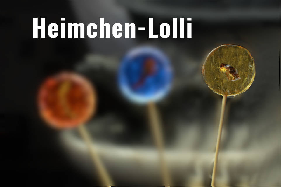 Lolli mit Insekten