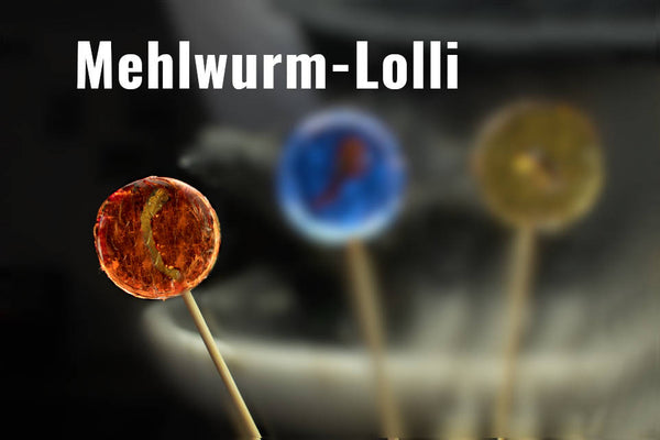 Insektenlutscher mit Mehlwurm, 20 g