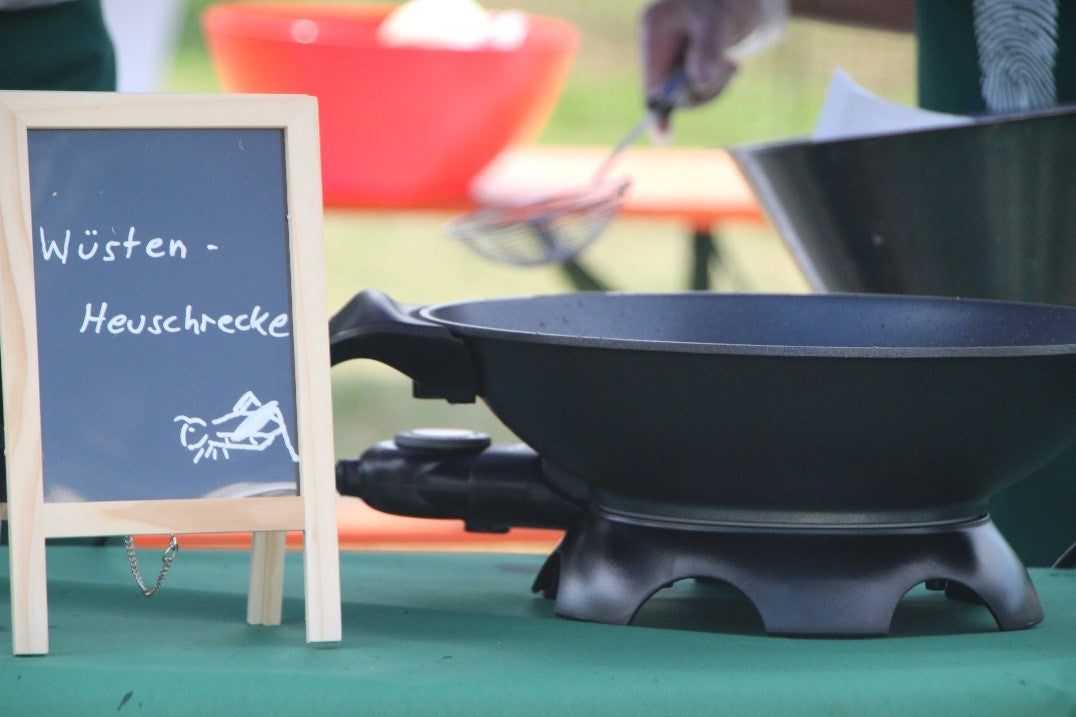 Insektenkoch Workshop mit essbaren Insekten