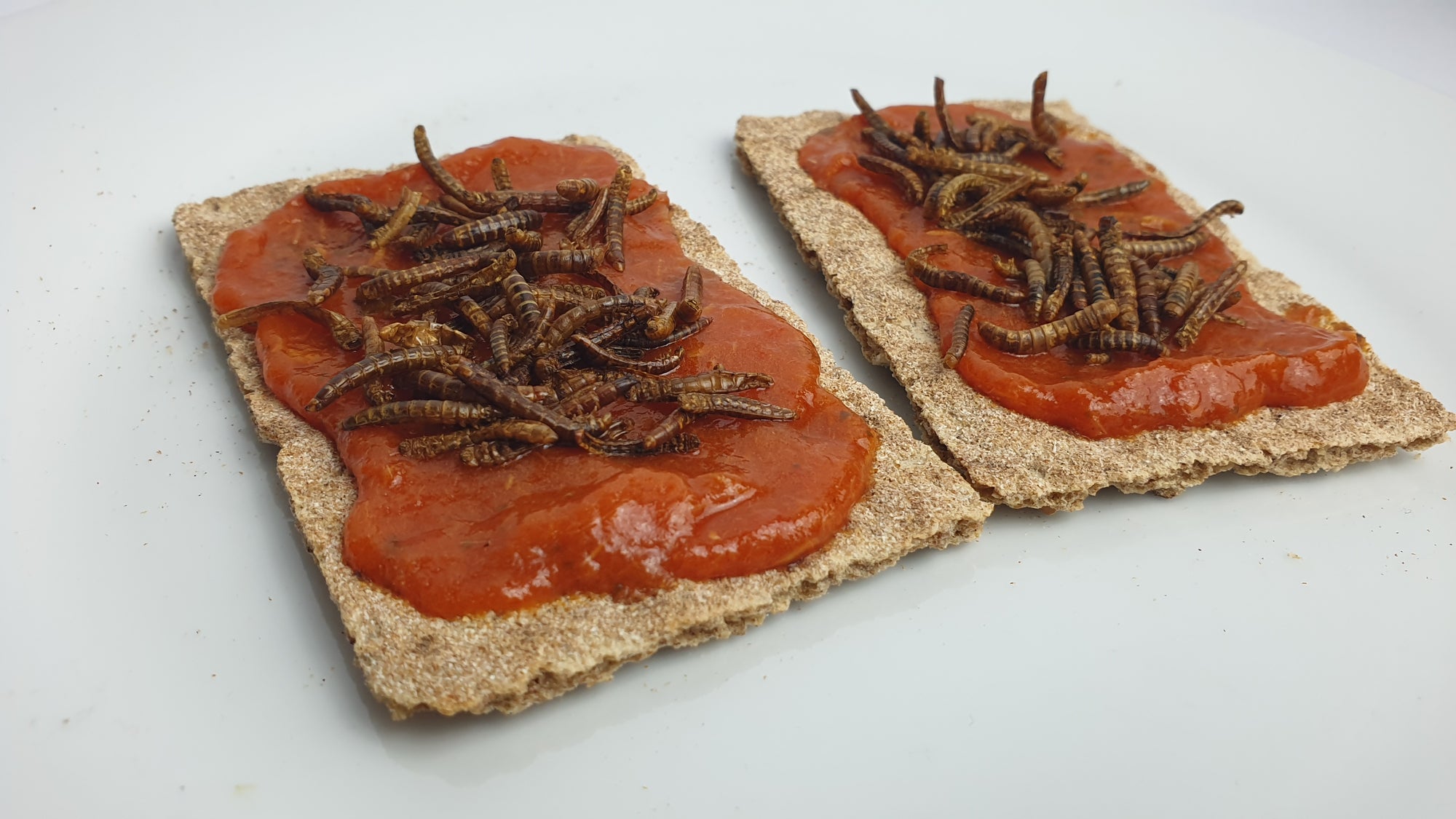 Gericht mit essbaren Mehlwürmern